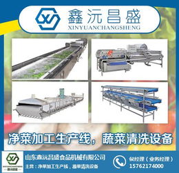 果蔬清洗設備生產廠家 浙江果蔬清洗設備 鑫沅昌盛專業食品機械