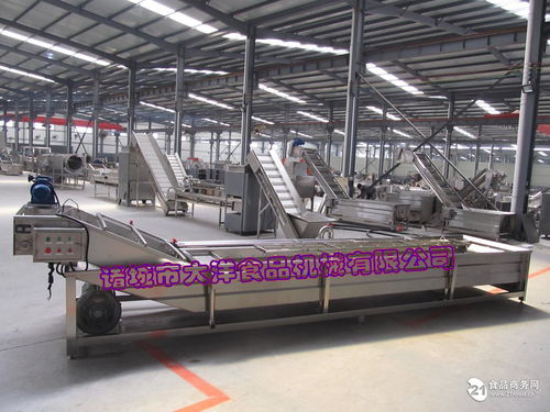 自動海帶清洗機 裙帶菜清洗機械價格,產品報價